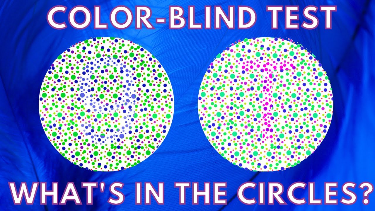 🌈can You See Blended Colors🌈 Color Blind Test Youtube