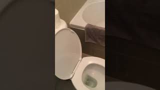 IMG 1912