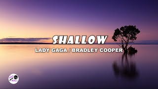 Shallow | Lady Gaga (Lyrics)