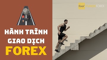 Giao Dịch Forex Thành Công: Thay Đổi 1 Tư Duy Này Để Ngừng Thua Lỗ