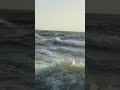ولو انما مافي الارض من شجرة أقلام والبحر يمده من بعده سبعة أبحر بصوت القارئ ماهر المعيقلي