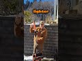 Stop Using Your Battery Snow Shovel Wrong