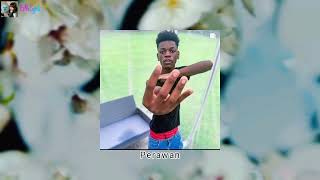 Dadang Rosikin X Anwar Shorty X Flaminghotm0D0L - Cangcut Di Palang Merah Lyrics Video