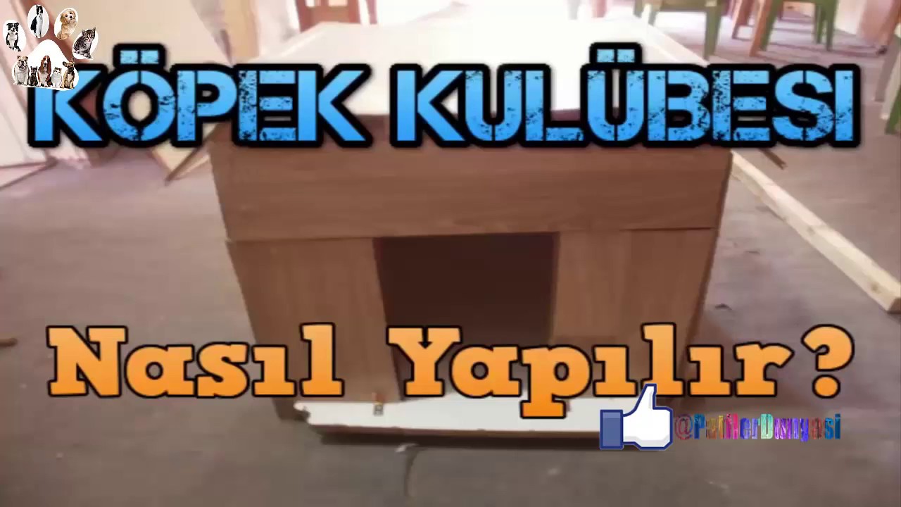 Kopek Kulubesi Yapimi Pratik Basit Patilerdunyasi Youtube