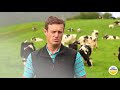 Eu free grazing dairy project  say azores cheese eng