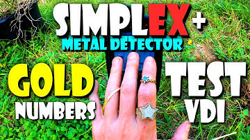 Nokta Makro Simplex GOLD TEST | Metal Detecting SP24 9.5" X 5" DD Search Coil