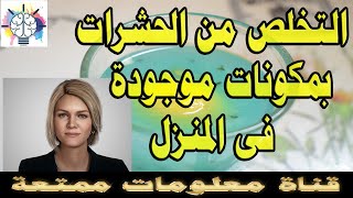 التخلص من الحشرات   بمكونات موجودة فى المنزل - طريقة القضاء على الذباب