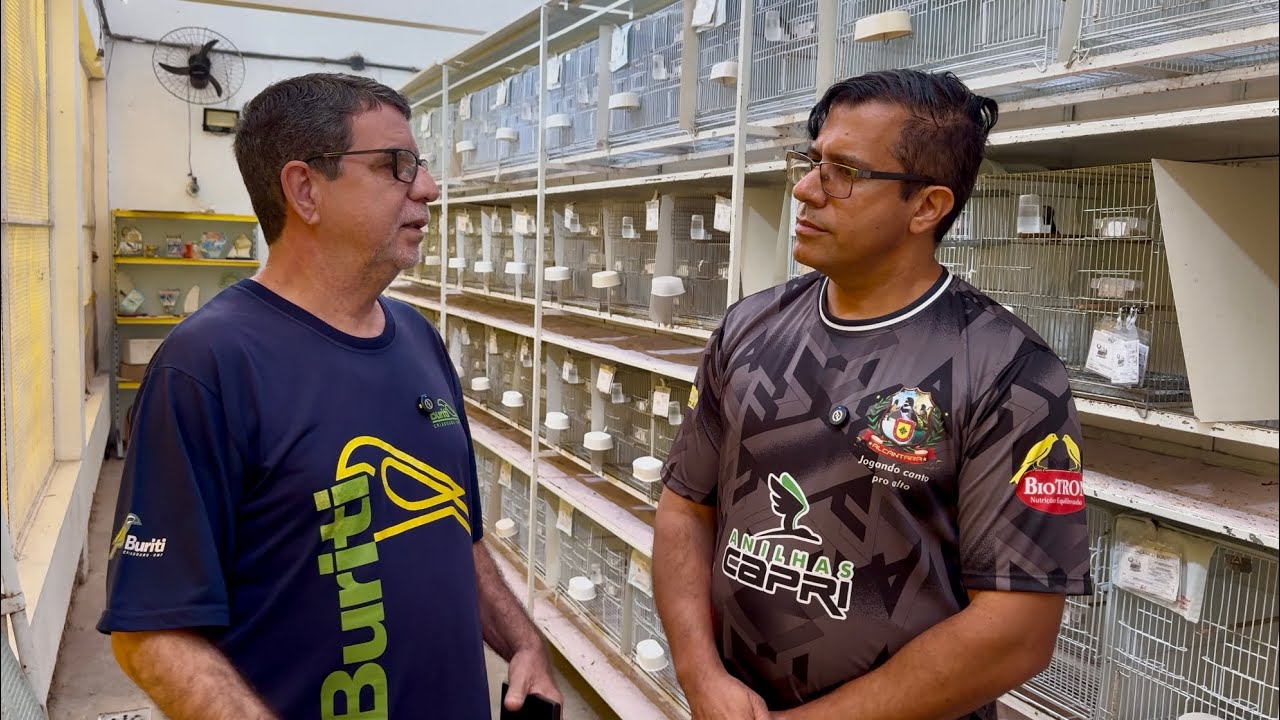 CRIADOURO BURITI & CRIATÓRIO ALCÂNTARA