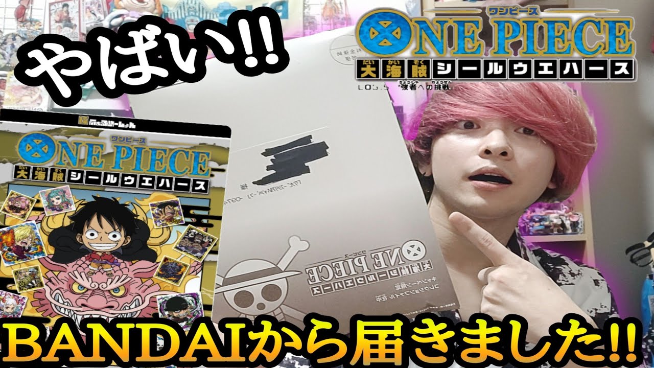 ONE PIECE大海賊シールウエハース キャンペーン限定コレクション
