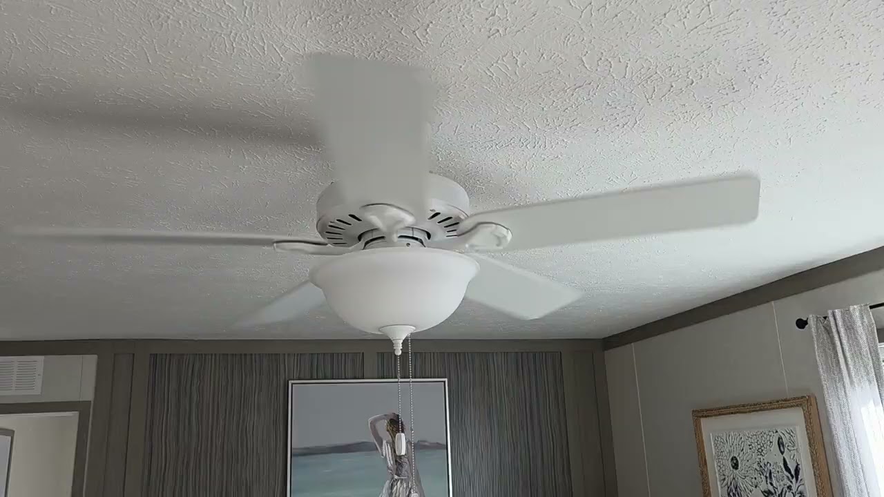 Hunter Pro's Best ENERGY STAR DC with Light 52 inch