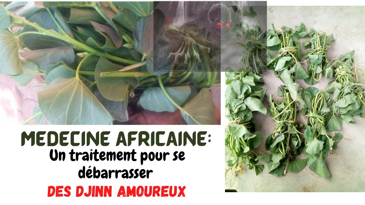 OUATTARA BA: Médecine africaine: Un traitement pour se débarrasser des