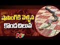 Python found in Tirumala shopping complex