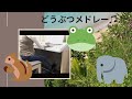 どうぶつメドレー♫山の音楽家〜ぞうさん〜かえるの合唱 ♪ エレクトーン演奏