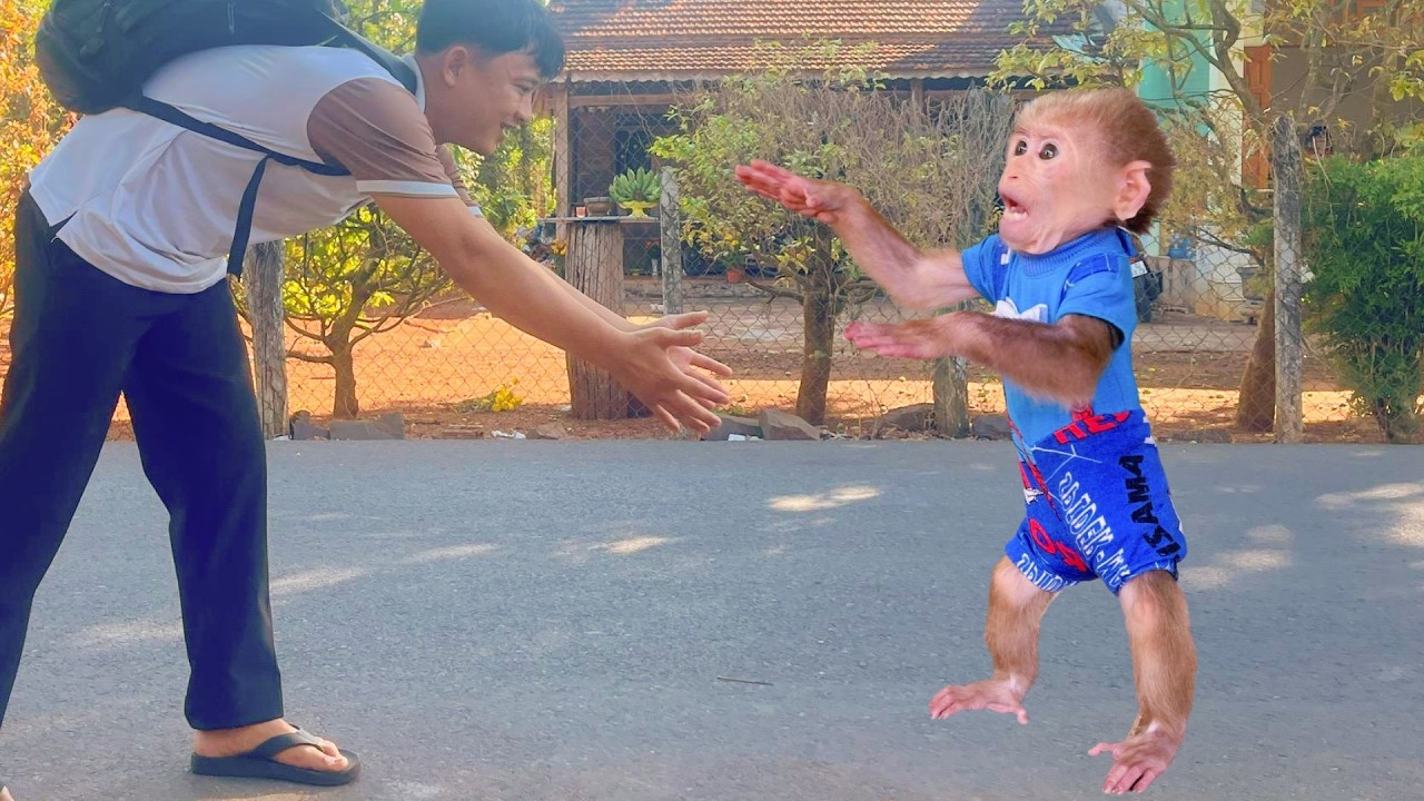 Lulu’s Joy Explodes When She Finally Sees Dad Again