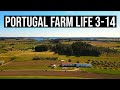 Living on a Farm in Portugal | PORTUGAL FARM LIFE S3-E14 ❤
