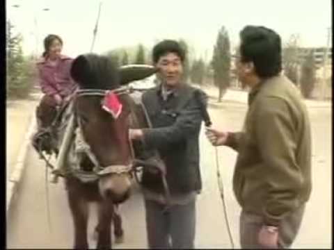 Interview with a muleteer and his wife in a small town in China