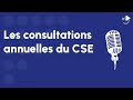 Consultation annuelle du cse  prsentation et fonctionnement