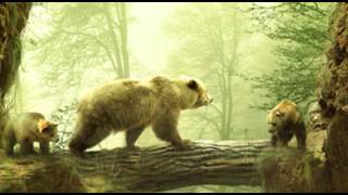 1186 Shamanic - Anishinaabe - Spirit Bear Song chords