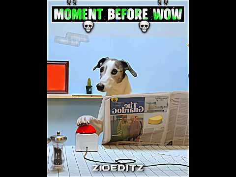 Absolute cinema 🥶