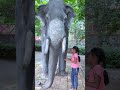 Hathi Ko Kisine PinЁЯУНChuba Diya ЁЯШ ЁЯШн Shorts Hathi Ko Kisine PinЁЯУНChuba Diya ЁЯШ ЁЯШн Shorts
