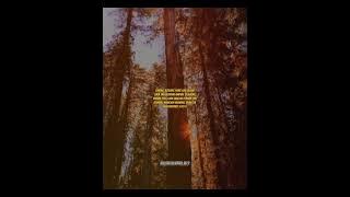 XEINDY__MAYBE NEXT TIME__LIRIK VIDEO💥