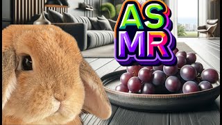 Asmr: Bunny Bites Into Juicy Grapes