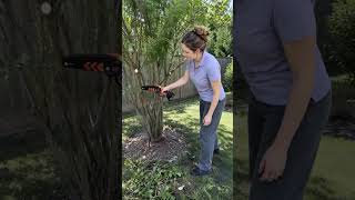 This Garden Tool Makes Yard Work So Much Easier! πΏπ₯ This Garden Tool Makes Yard Work So Much Easier! πΏπ₯