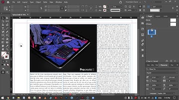 InDesign Spell Check with Place Holder text-   no language