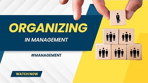 Organizing is The Building Block for Successful Organizations - How to Do It Right?