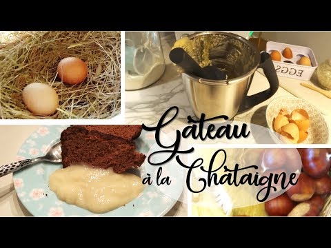 recette-:-gâteau-à-la-châtaigne-avec-le-miel-de-nos-abeilles-!-{sans-gluten,-sans-sucres-raffinés}