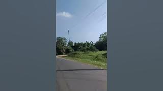perjalanan hidup #farming #suasanayangindah #jalanraya #nature @FahiraKhairunannisa