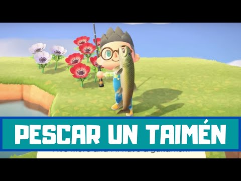 Vídeo: Animal Crossing Stringfish: Cómo Atrapar Y Encontrar La Ubicación Del Acantilado Del Río