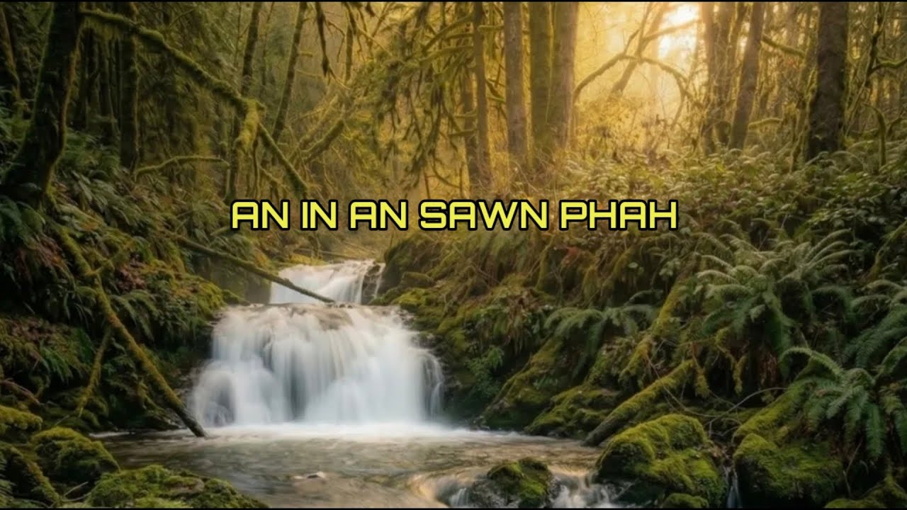 Kum 2016 a Rinsanga te unau inluaha thilthleng mak chu ( Mi Thiltawte 482 )