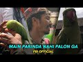 MAIN PARINDA NAHI PALON GA ? |  Sunday Lalukhet Market | PBI Official