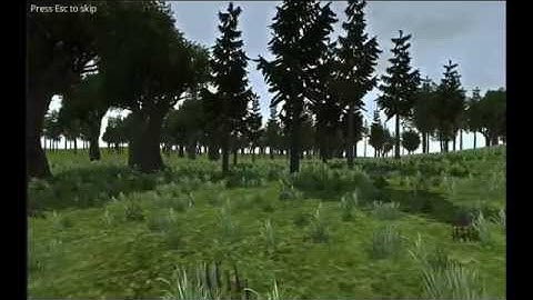 Character Create Intro WIP