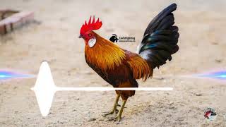 Khmer Remix 2020 ' Som Me Mon Mouy Remix DJ - Nhạc nhảy Gây Nghiện 2020 cực sung