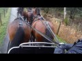 Horse team driving at maryculter carriage driving centre near aberdeen 18jan14