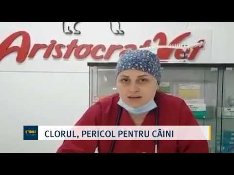 Video: Câinele Spaniei, Victima Ebola Care Va Fi Pusă Jos, Campanie Declanșatoare