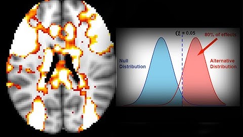 fMRI Power with NeuroPowerTools