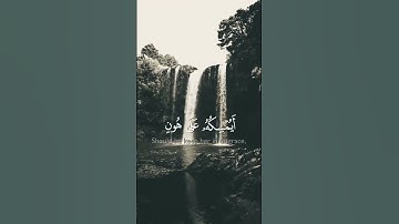 #تلاوة_مؤثرة #الشيخ_خالد_الجليل #القران_الكريم