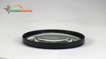 67mm Macro Close-Up +3 Lens Filter for Digital Camera  from Dinodirect.com
