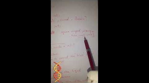 Understanding Cells: The Building Blocks of Life Explained SimplyUKEducation #GermanyEducation