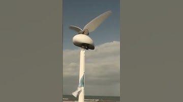 This Genius Wind Turbine Mimics a Hummingbird to Create Clean Energy!