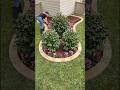 Satisfying Landscaping: Before and After!