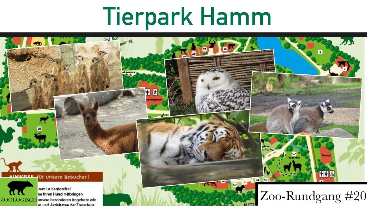 Tierpark Hamm 2022 | Zoo-Rundgang #20