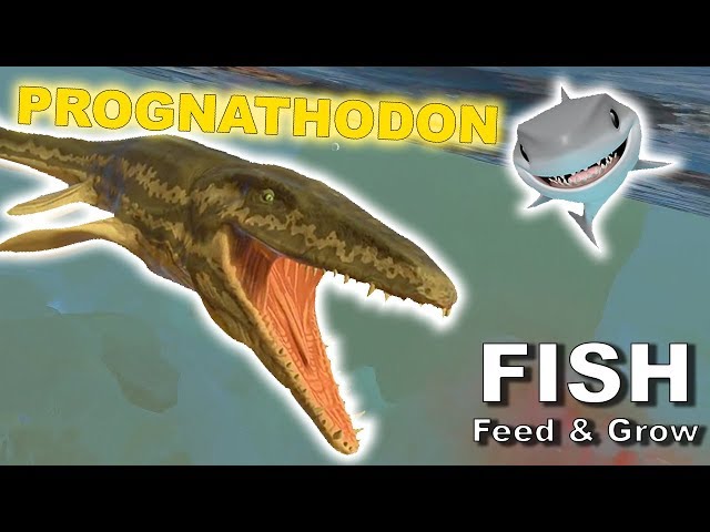 Feed and Grow Fish Gameplay German - Prognathodon Vs. Megalodon