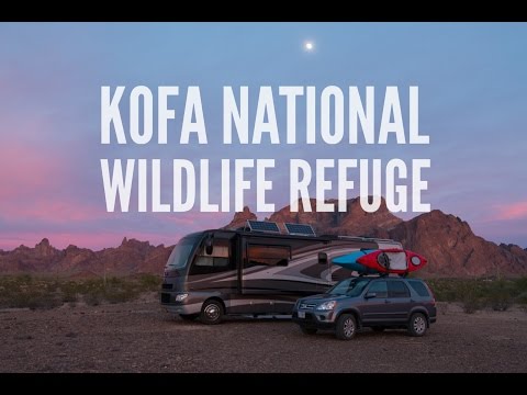 Video: Kofa National Wildlife Refuge: de complete gids