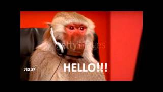 Download Lagu Apedele HELLO! Adele Hello spoof