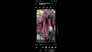 #whatsapp status download kaise kare#like How status download for whatsapp screenshot 3