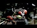 Teaser Ucoffee